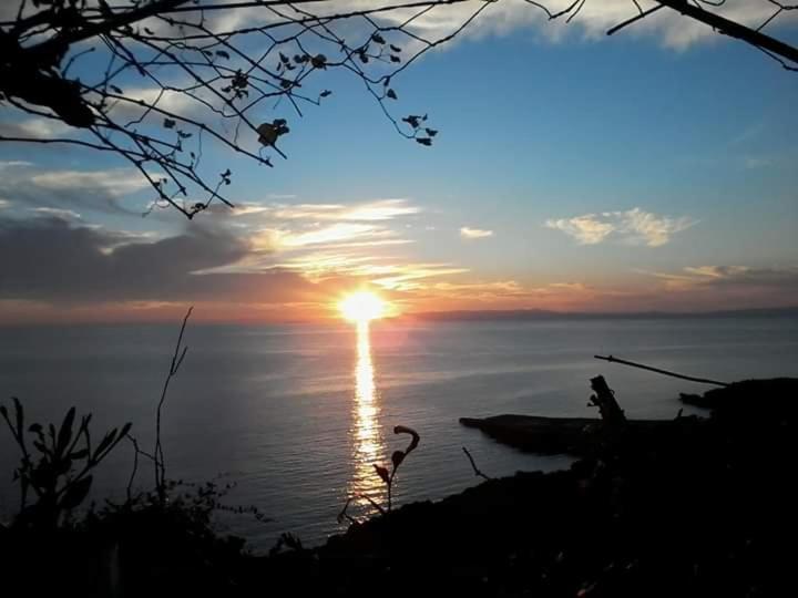 Sea And Sun Apartments 303 Ιδιωτικό Διαμέρισμα Kardamyli Dış mekan fotoğraf